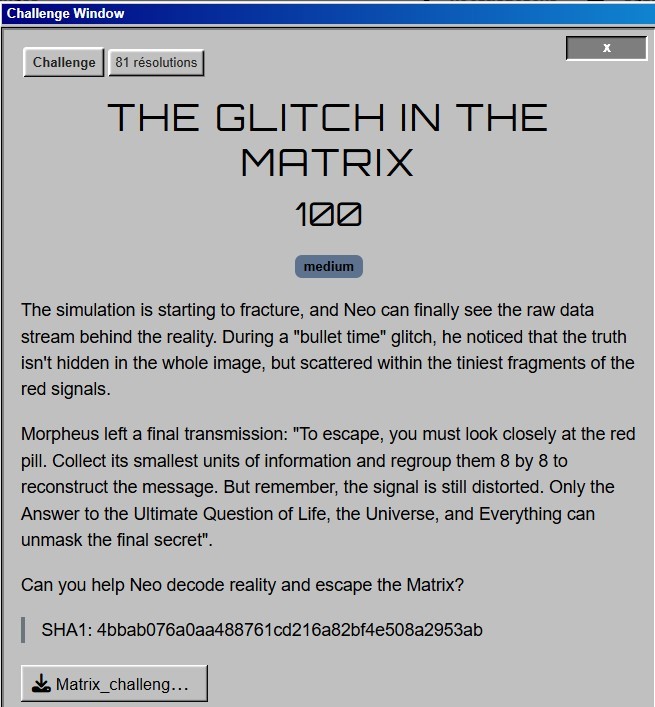 Image du challenge The Glitch in the Matrix